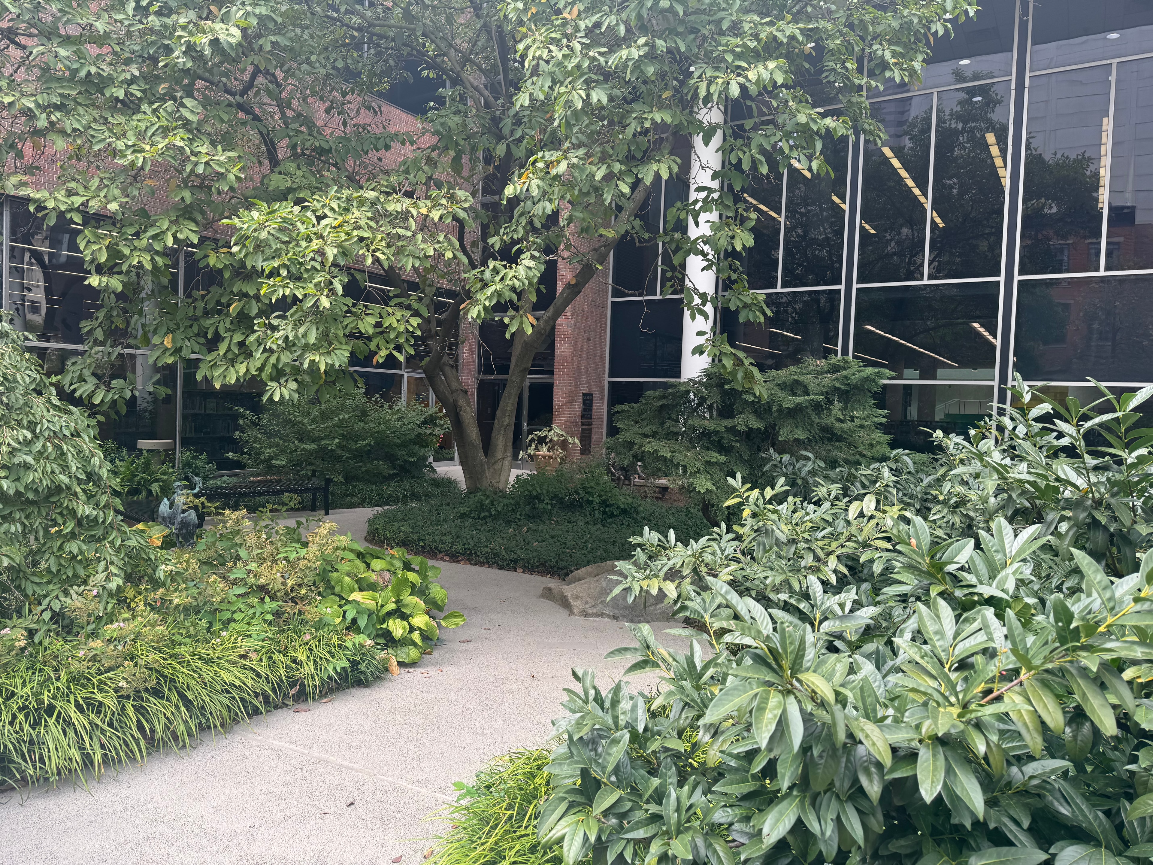 Cincinnati Public Library garden courtyard with trees and landscaping
